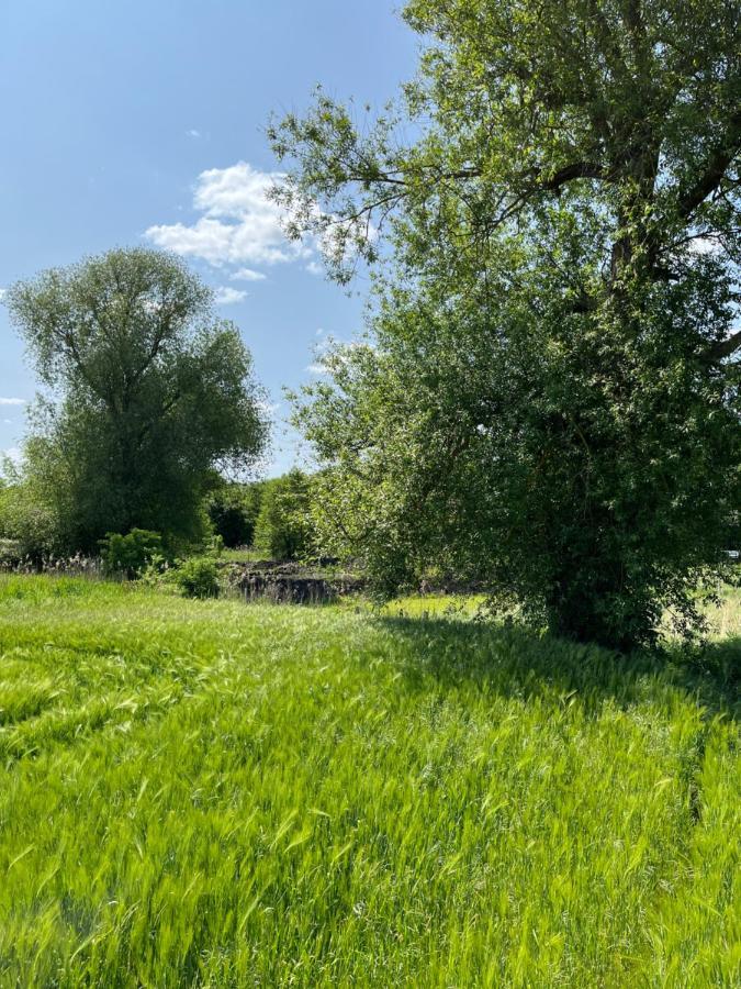 Osada Ladimorg Villa Moryn Exteriör bild
