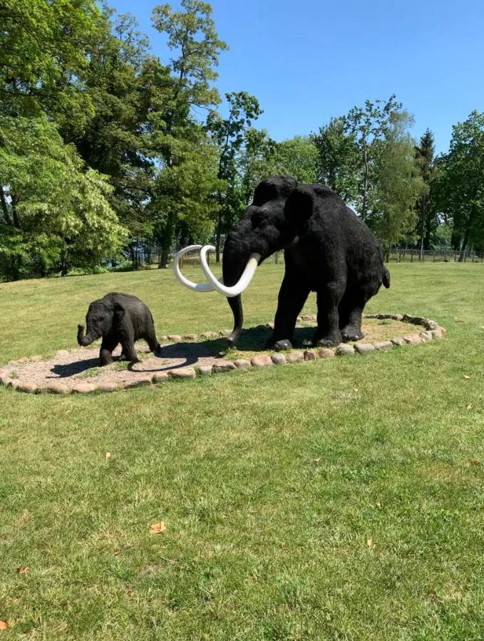 Osada Ladimorg Villa Moryn Exteriör bild