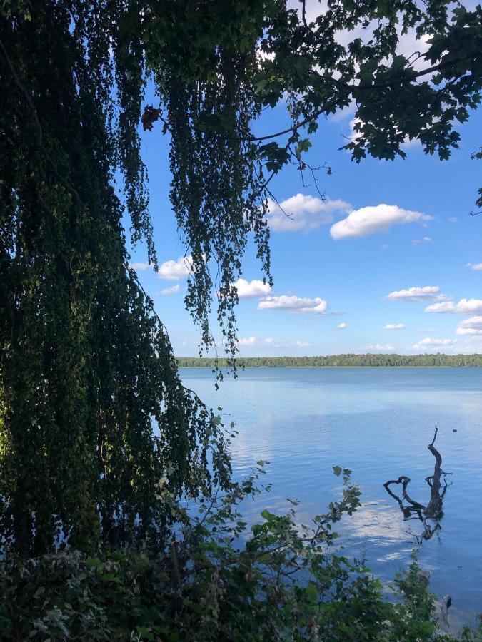 Osada Ladimorg Villa Moryn Exteriör bild